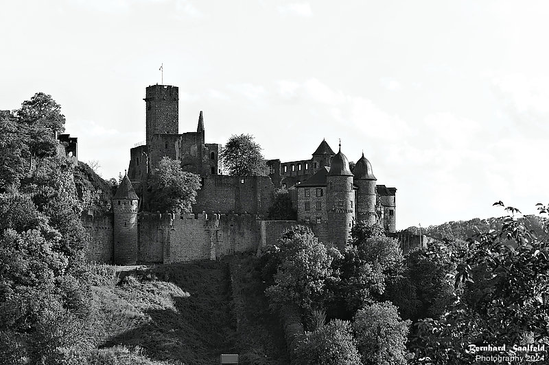 Bernhard Saalfeld - Burg Wertheim (2v9)